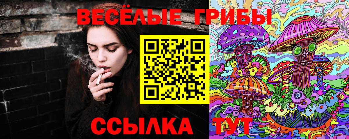 Галлюциногенные грибы Magic Shrooms  Вход с VPN  Звенигород 